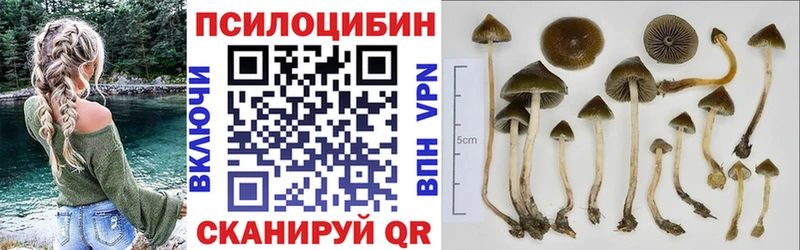 Купить где  Верхоянск  Галлюциногенные грибы Magic Shrooms 